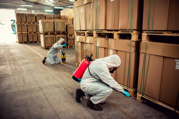 Wasp Removal Services in Robertsdale, AL