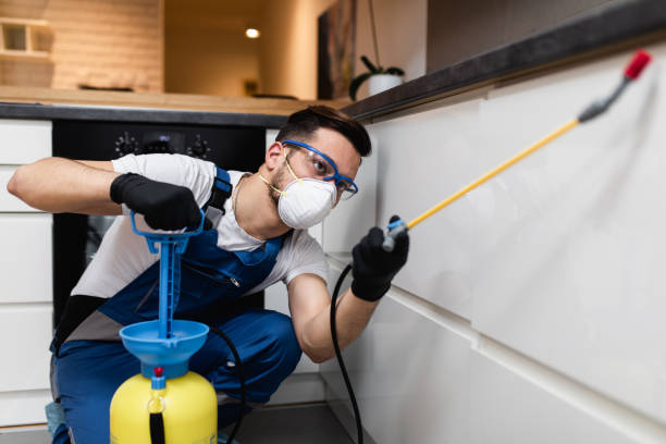 Best Pest Control Near Me in Robertsdale, AL