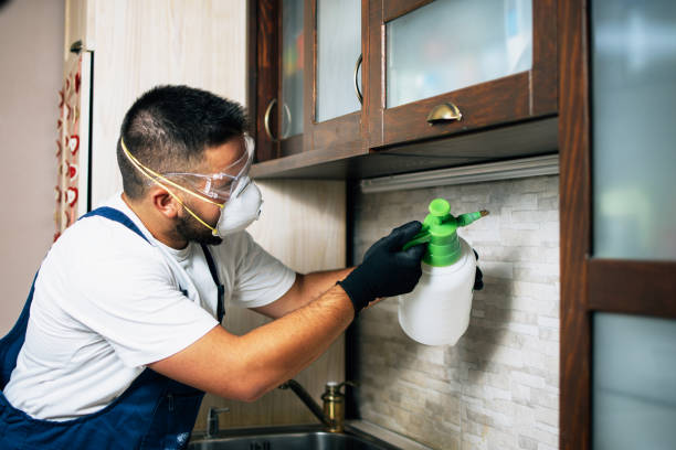Best Wasp Removal Services  in Robertsde, AL
