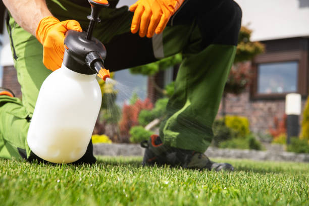 Best Best Pest Control Near Me  in Robertsde, AL