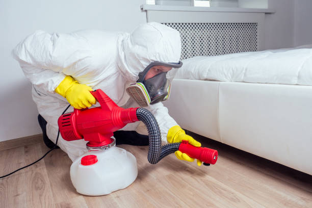 Flea Control Services in Robertsdale, AL