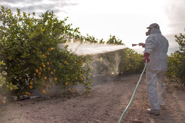Best Cockroach Control Services  in Robertsde, AL