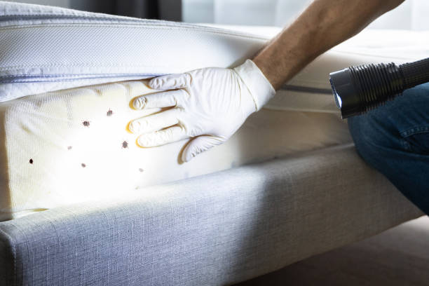 Best Rat Extermination Near Me  in Robertsde, AL