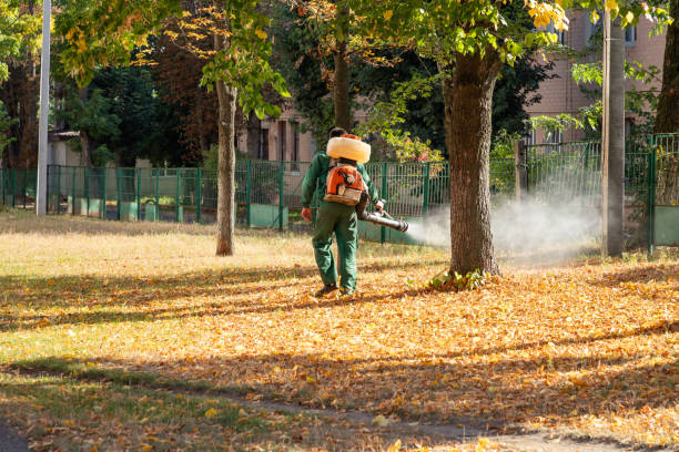Best Mosquito Control Services  in Robertsde, AL