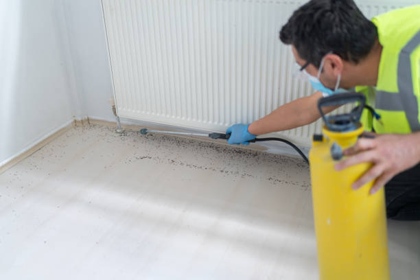 Best Affordable Exterminators  in Robertsde, AL