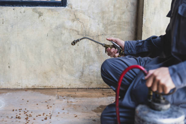 Best Termite Control Services  in Robertsde, AL